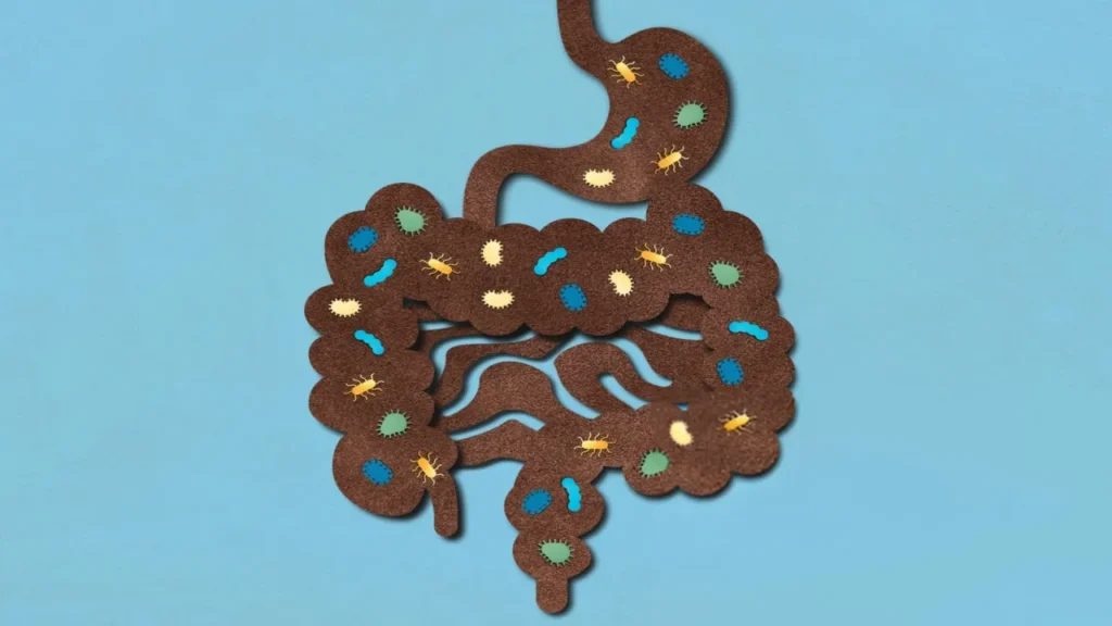 Diagram illustrating the complex gut microbiome and its role in functional medicine gut health
